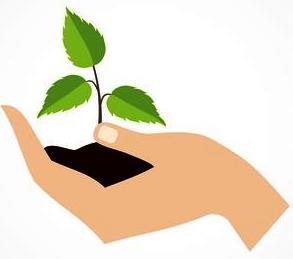 hand hold protect plant vector