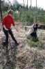 Akcja sadzenia lasu
