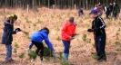 Akcja sadzenia lasu